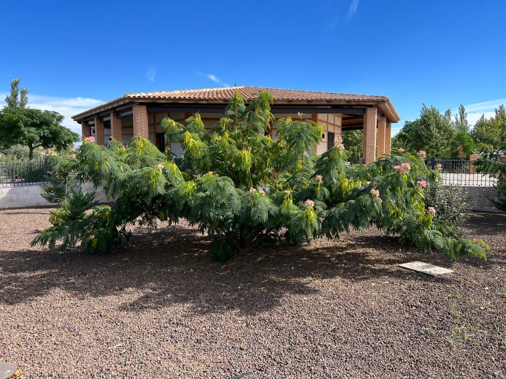 Finca Alarcos Valverde  Exteriör bild